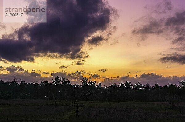 Erstaunlicher Sonnenaufgang Blick auf den Himmel und Dschungel in Ubud  Bali  Indonesien  Asien