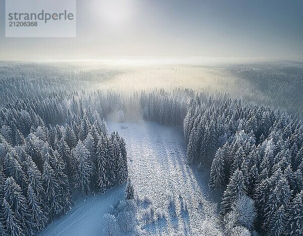 Epic winter landscape of a forest with clearing in the fog in winter  symbol image drone shot  AI-generated image  AI generated