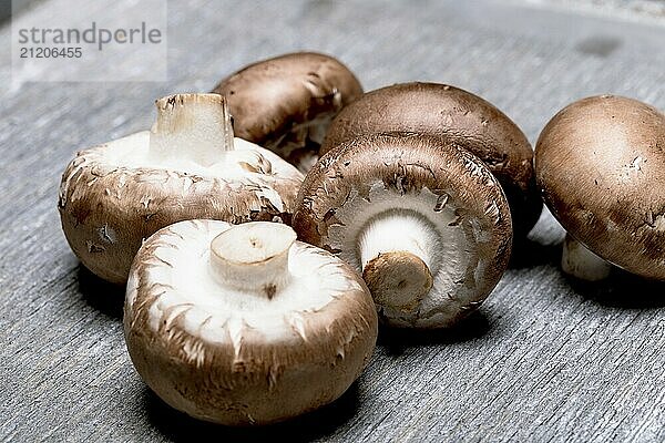 Brown champignon on grey background  close up