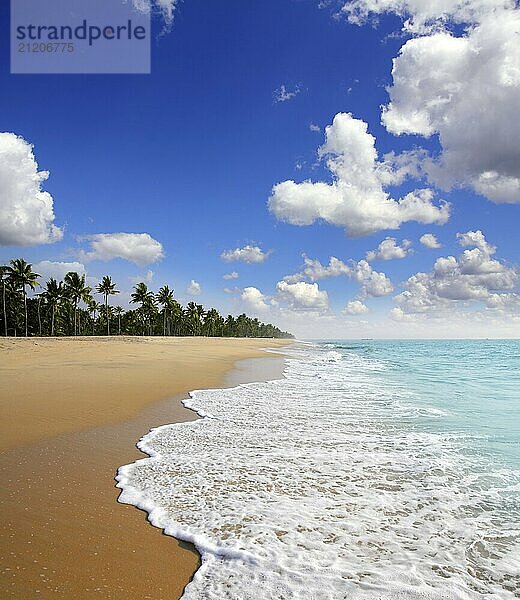 Beautiful beach landscape  ocean in India