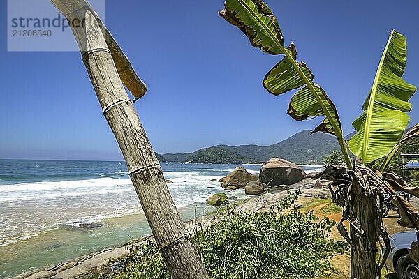 View along beautiful coastline with beach and rock slabs plants in foreground  Picinguaba  Brazil  South America