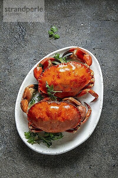 Food  Food  Whole cooked crabs on white plate with lemon and beer. Gray concrete background. Top view