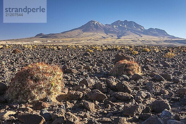 Atacama Wüste  Chile  Anden  Südamerika. Schöne Aussicht und Landschaft  Südamerika