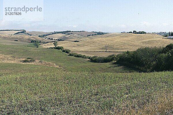 Beautiful view of Tuscany landscape and landmarks. Grapes fields and olive oil. From Montalcino to Montepulciano to Siena. Summer in Italy