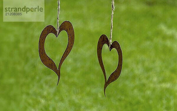 Two metal hearts as decoration hanging with strings in front of a green background  North Rhine-Westphalia  Germany  Europe