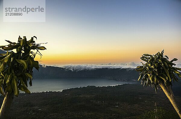 Sonnenaufgang Blick auf zwei Palmen und Berg vom Gipfel des Vulkans Batur  Bali  Indonesien  Asien