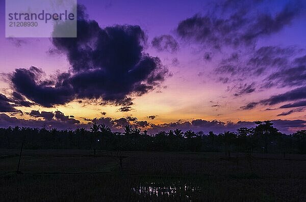 Erstaunlicher Sonnenaufgang Blick auf den Himmel und Dschungel in Ubud  Bali  Indonesien  Asien