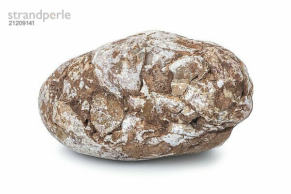 Brown stone with white spots isolated on a white background