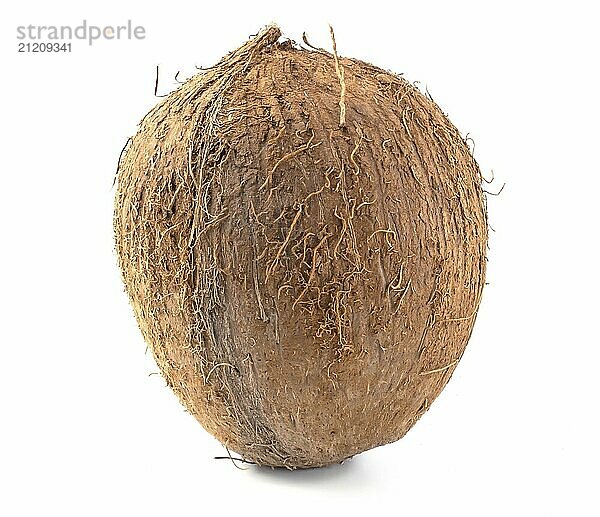 Tropical coconut fruit isolated on white background close up