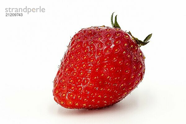 Good red strawberry isolated on a white background