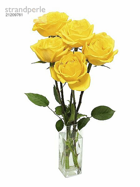 Bouquet of yellow roses isolated on white