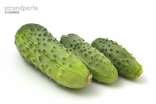 Three green gherkin cucumbers isolated on white background