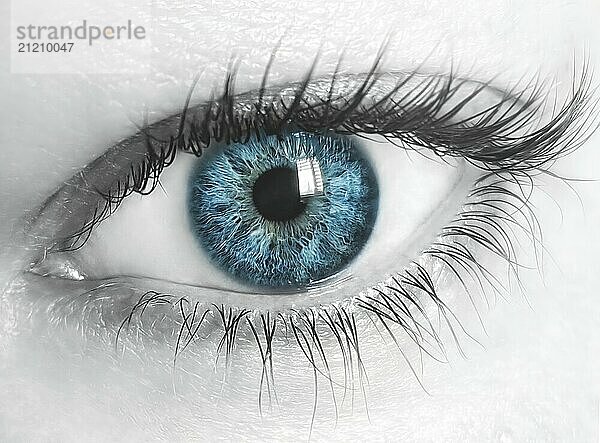 Macro image of human eye with blue iris and desaturated skin. Close-up view