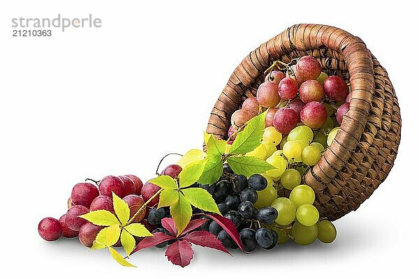 Basket with grape isolated on a white background