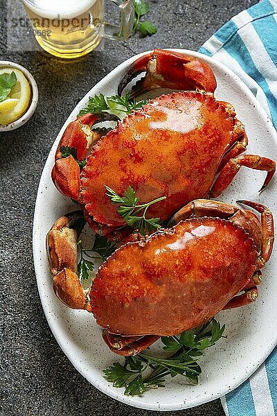 Whole cooked crabs on white plate with lemon and beer. Gray concrete background. Top view