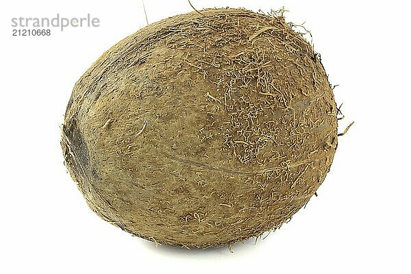 Coconut isolated on white background close up