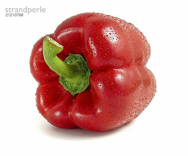 Fresh red pepper  vegetable isolated on white background close up