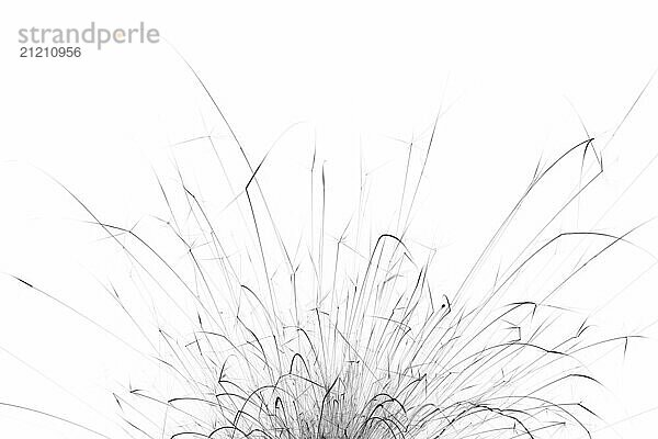 Black lines on a white background. Abstract monochrome photo of fireworks sparks