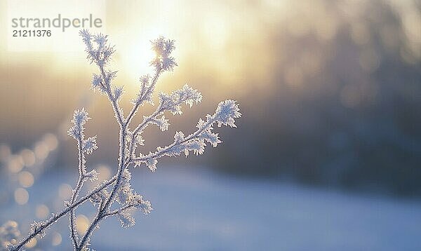 Ein Zweig in Frost und Schnee bedeckt. Die Sonne scheint darauf und schafft eine schöne und heitere Szene AI erzeugt  KI generiert