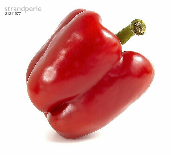 Ripe red bell pepper  bell pepper isolated on white background