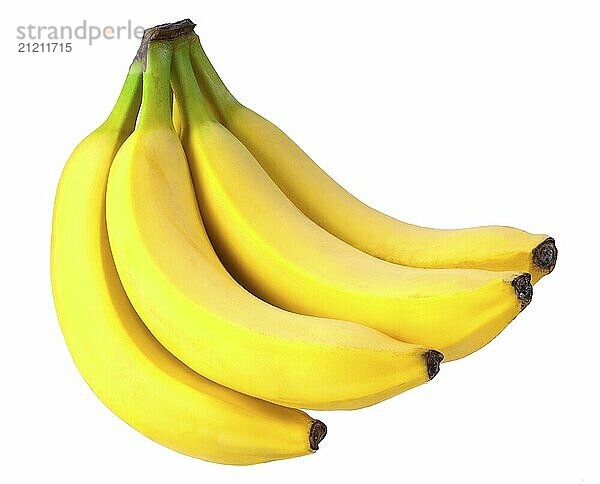 Bunch of bananas isolated on white background  clipping mask for design