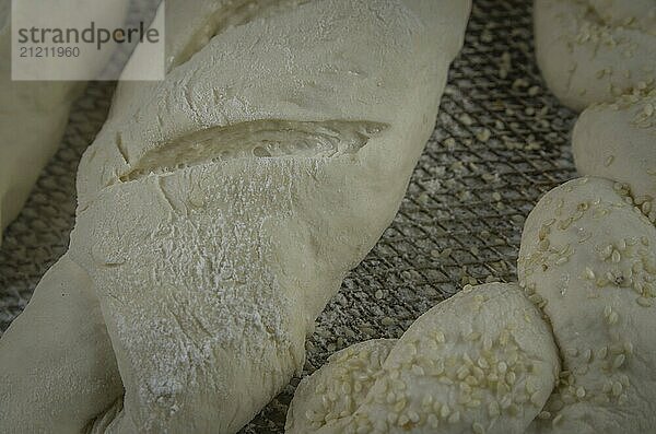 Sourdough bread fermenting  gray background with dried wheat flower