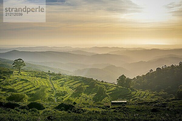 Sunset valley view with terraced fields of Serra de Monchique near mount Foia in the Algarve region in Portugal. Beauty in nature