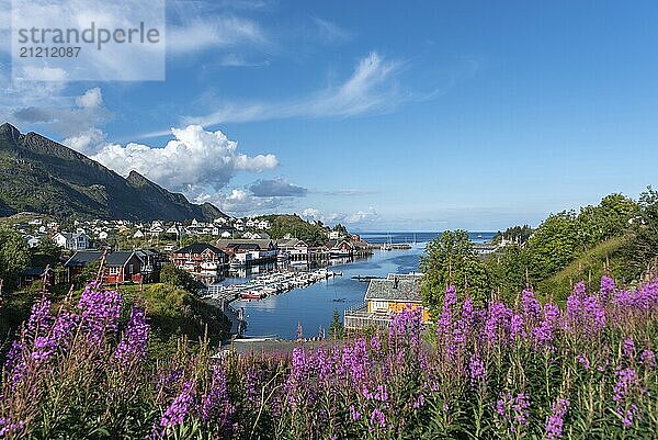 Panoramic view with fishing harbour and surrounding mountain landscape  Sorvagen  Lofoten  Norway  Europe