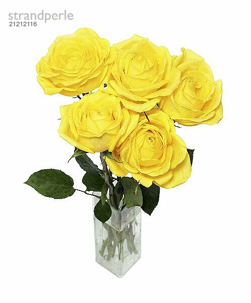 Bouquet of yellow roses isolated on white