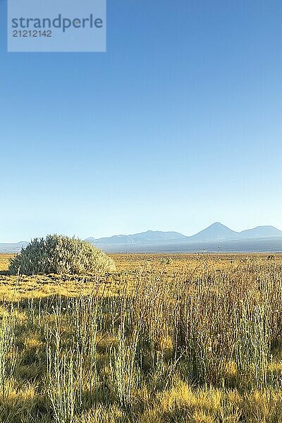 Atacama Wüste  Chile  Anden  Südamerika. Schöne Aussicht und Landschaft  Südamerika