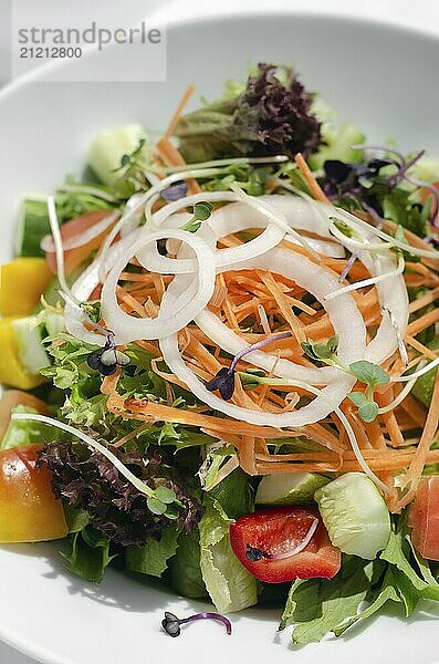 Fresh organic mixed vegetable vegan Garden Salad with Vinaigrette sauce on white table