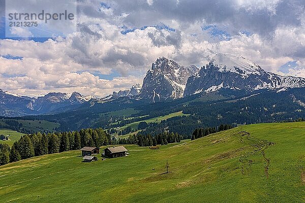 Panoramic view from the Seiser Alm to the Dolomites in Italy  drone shot