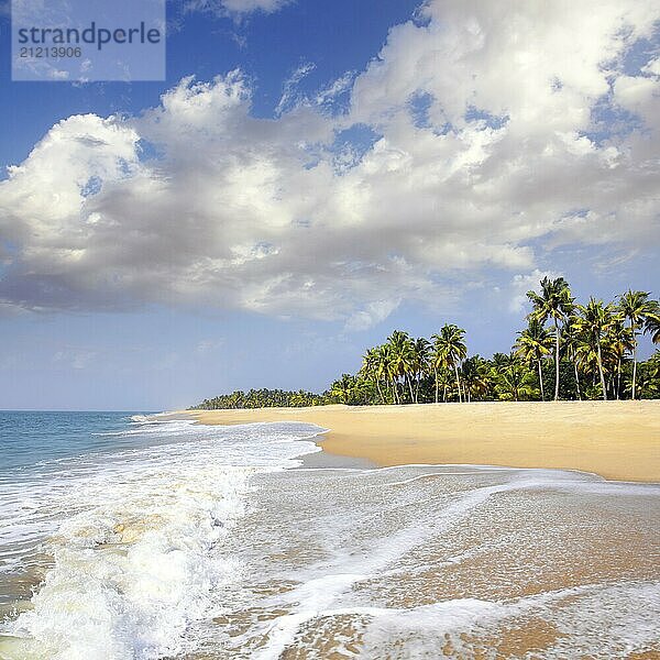 Beautiful beach landscape  ocean in India