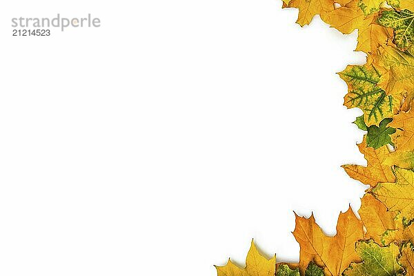 Frame of autumn maple leaves isolated on a white background