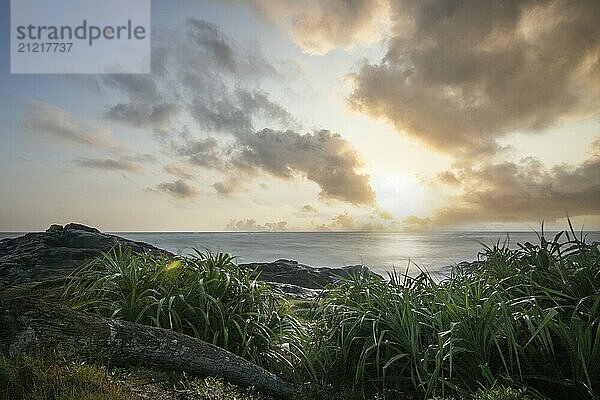 Strand  mit Lavafelsen und Vegetation  Blick auf das Meer am Abend bei Sonnenuntergang. Landschaft mit Wolken in Induruwa  Bentota Beach  Sri Lanka  Indien  Asien