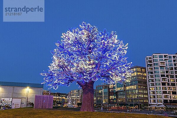 The Oslo Tree