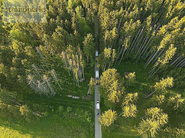 Aerial view of a forest with a road on which several vehicles are parked  quiet and peaceful atmosphere at dusk  fibreglass montage  Calw district  Black Forest  Germany  Europe