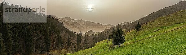 Panoramablick auf eine grüne Wiese im Sonnenuntergang  umgeben von Wald und Bergen  Blick vom kleinen Bichlersee