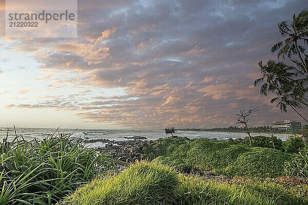 Strand  mit Lavafelsen und Vegetation  Blick auf das Meer am Abend bei Sonnenuntergang. Landschaft mit Wolken in Induruwa  Bentota Beach  Sri Lanka  Indien  Asien