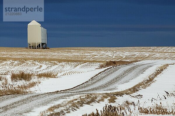 Prairie Landscape in winter Saskatchewan Canada scenic