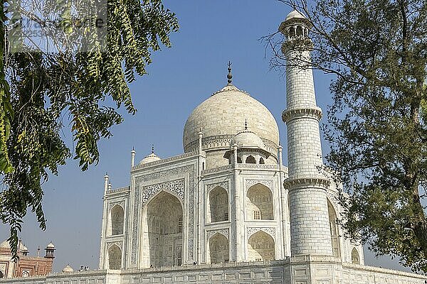 Taj Mahal  das Mausoleum  das Mumtaz Mahal von ihrem Ehemann  dem Mogulkaiser Shah Jahan  errichten ließ. Ein Blick aus der Nähe auf den Garten  den Charbagh  mit den Zweigen einiger Bäume im Vordergrund. Aufgenommen am Morgen eines Tages Mitte April  in der Vormonsunzeit  im Sommer. Weltwunder  UNESCO Weltkulturerbe  berühmtes Wahrzeichen und Touristenattraktion. Agra  Uttar Pradesh  Indien  Asien