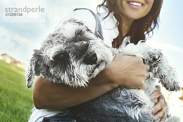 Portrait of a happy caucasian woman who hugs her beloved dog.The concept of love for animals. best friends. Dog breed Schnauzer. sunny day