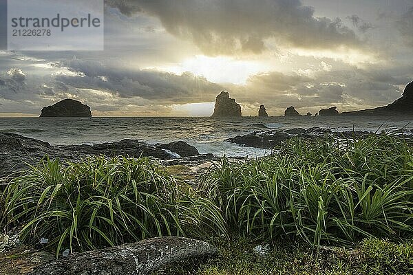 Strand  mit Lavafelsen und Vegetation  Blick auf das Meer am Abend bei Sonnenuntergang. Landschaft mit Wolken in Induruwa  Bentota Beach  Sri Lanka  Indien  Asien