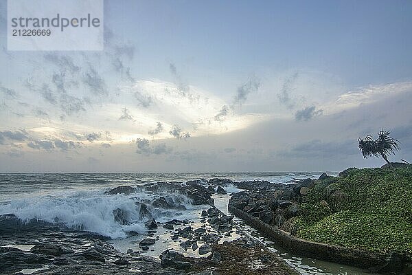 Strand  mit Lavafelsen und Vegetation  Blick auf das Meer am Abend bei Sonnenuntergang. Landschaft mit Wolken in Induruwa  Bentota Beach  Sri Lanka  Indien  Asien