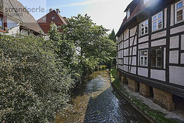 Historische Fachwerkhäuser am Fluss Salze bei Gegenlicht in der Innenstadt von Bad Salzuflen  Kreis Lippe  Nordrhein-Westfalen  Deutschland  Europa