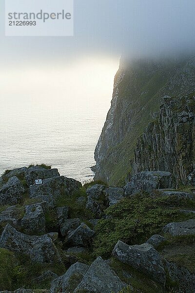 High fog with the background rocky cliff and sea on the bird island Runde in Norway