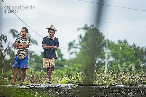 Zwei Männer stehen entspannt auf einem Weg zwischen Reisfeldern in ländlicher Umgebung  Ubud  Bali  Indonesien  Asien