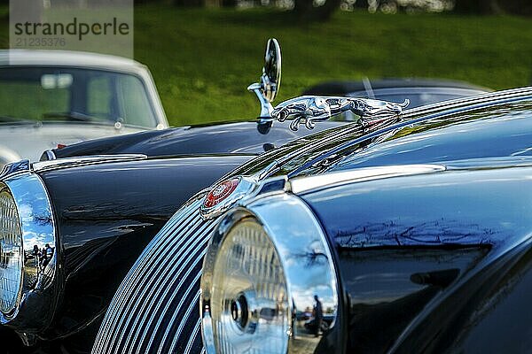 Lisbon  Portugal  Jan 20  2024: Close-up and selective focus of Leaper or Leaping Jaguar mascot hood ornament or bonnet badge against other car background  Europe