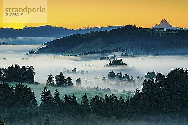 Morgendämmerung mit Blick vom Ratenpass über das nebeldurchzogene Hochmoor von Rothenthurm im Kanton Schwyz  Schweiz  Europa