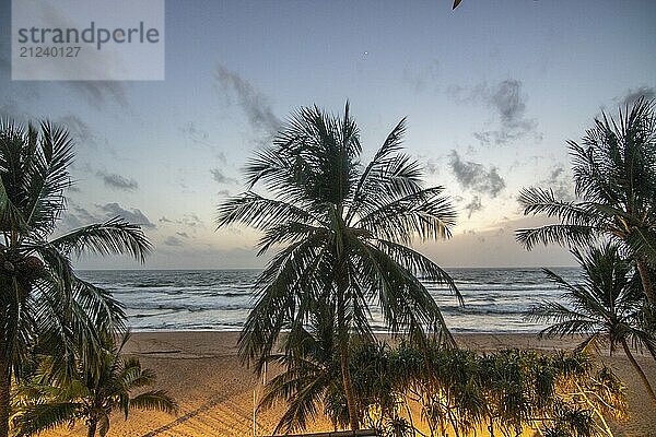 Strand  mit Plamen und Vegetation  Blick auf das Meer am Abend bei Sonnenuntergang. Landschaft mit Wolken in Induruwa  Bentota Beach  Sri Lanka  Indien  Asien